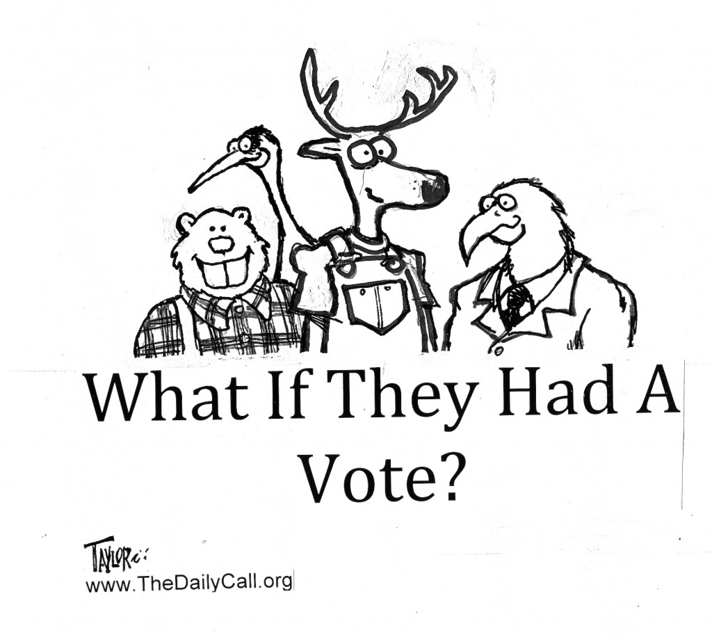 What if They Had a Vote?