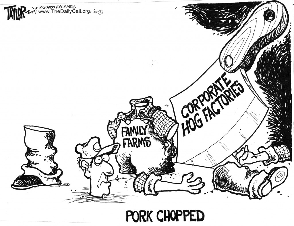 Corporate Hog Farms